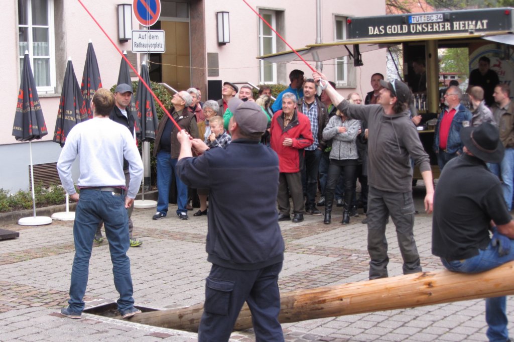 fzmaibaum12.jpg