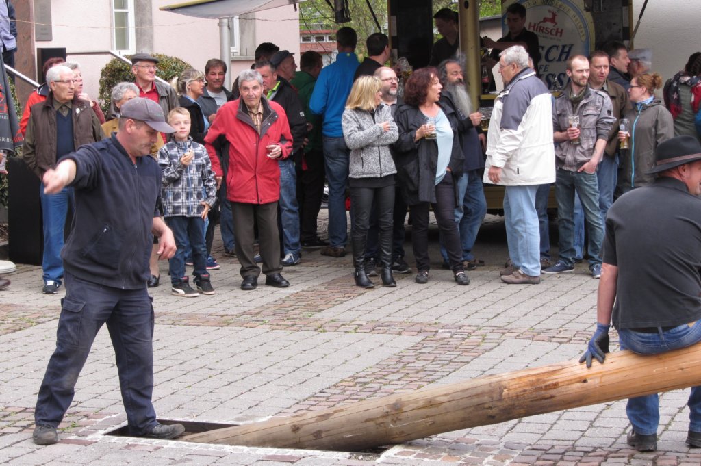 fzmaibaum19.jpg