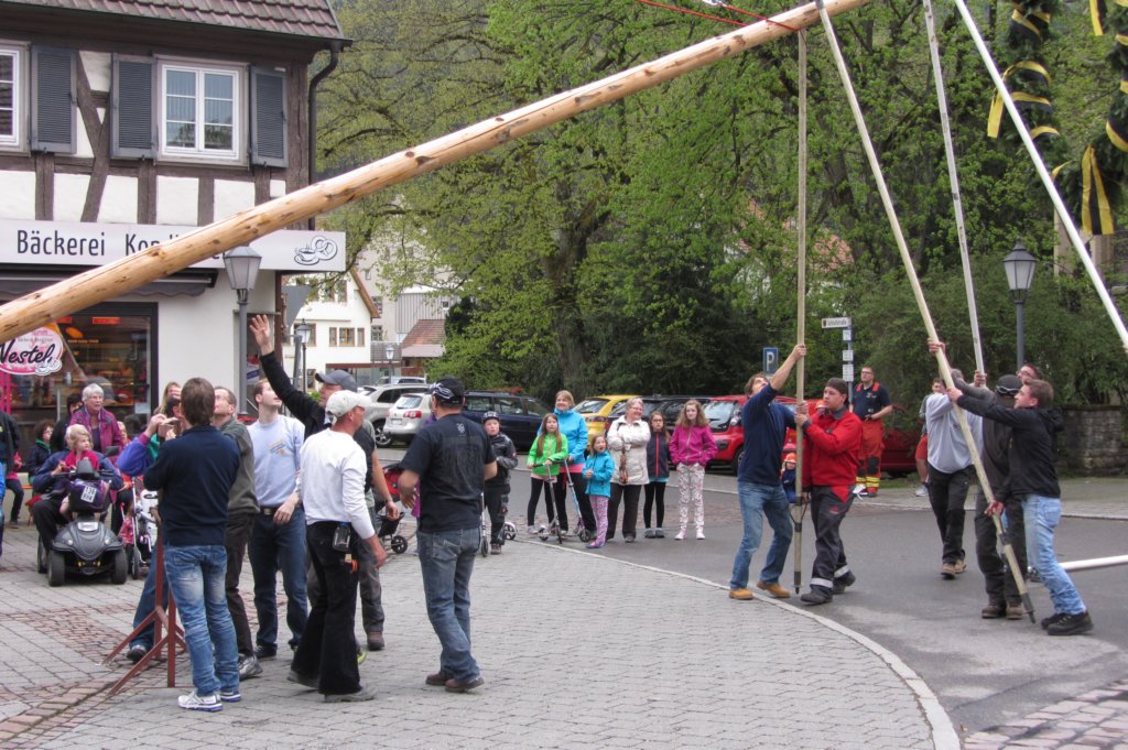 fzmaibaum22.jpg