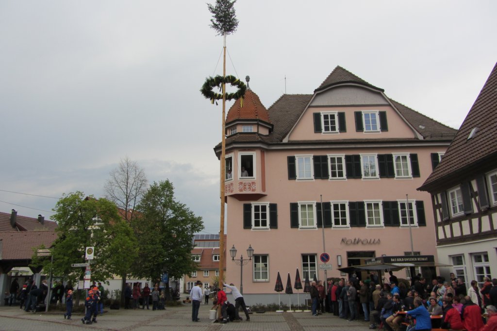 fzmaibaum46.jpg