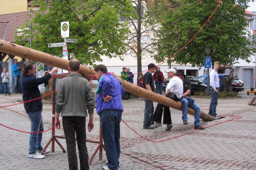 fzmaibaum6.jpg