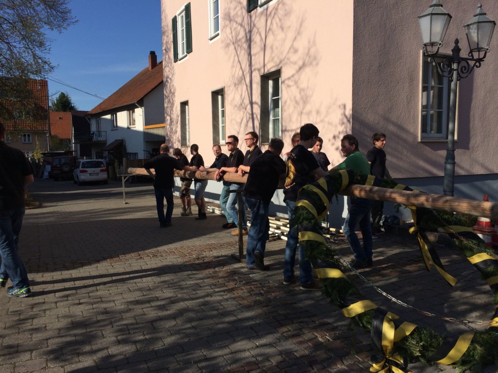 maibaum_201517.jpg