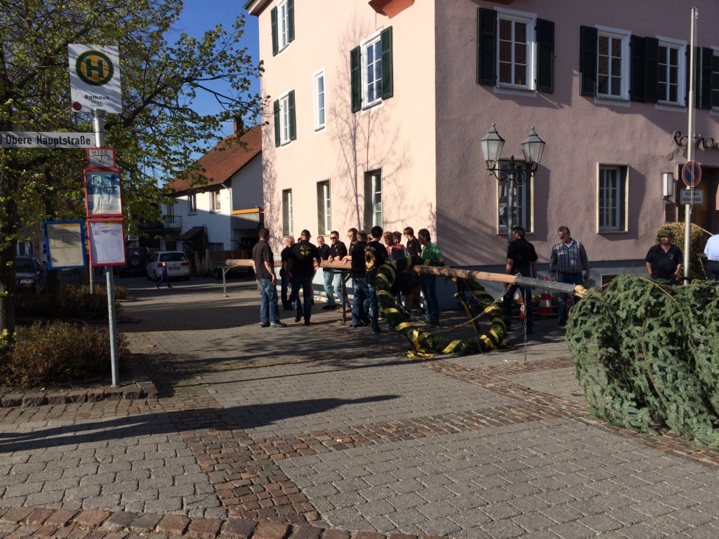 maibaum_201520.jpg