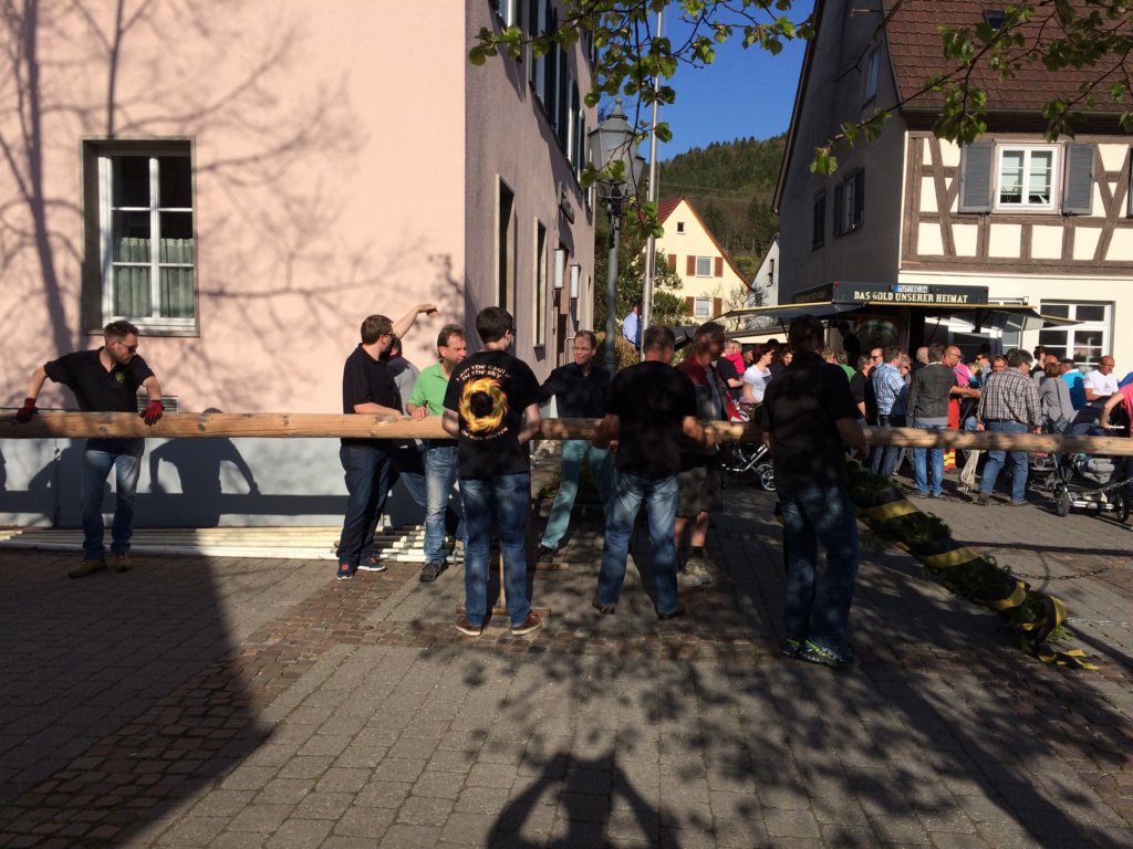 maibaum_201523.jpg