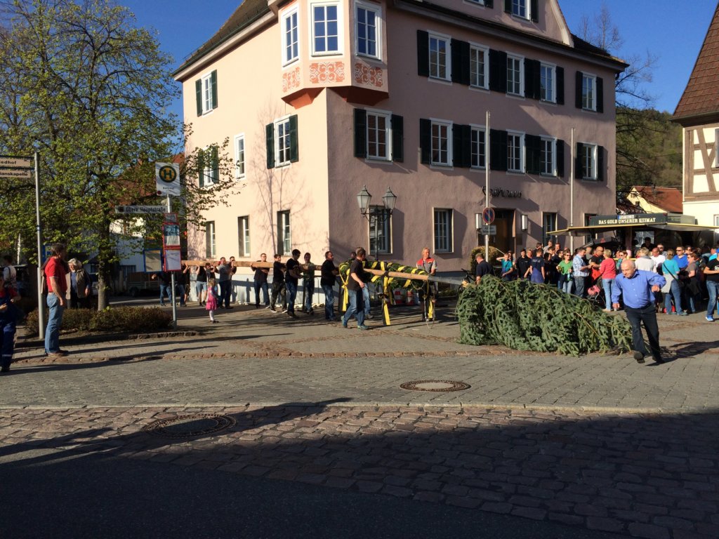 maibaum_201525.jpg