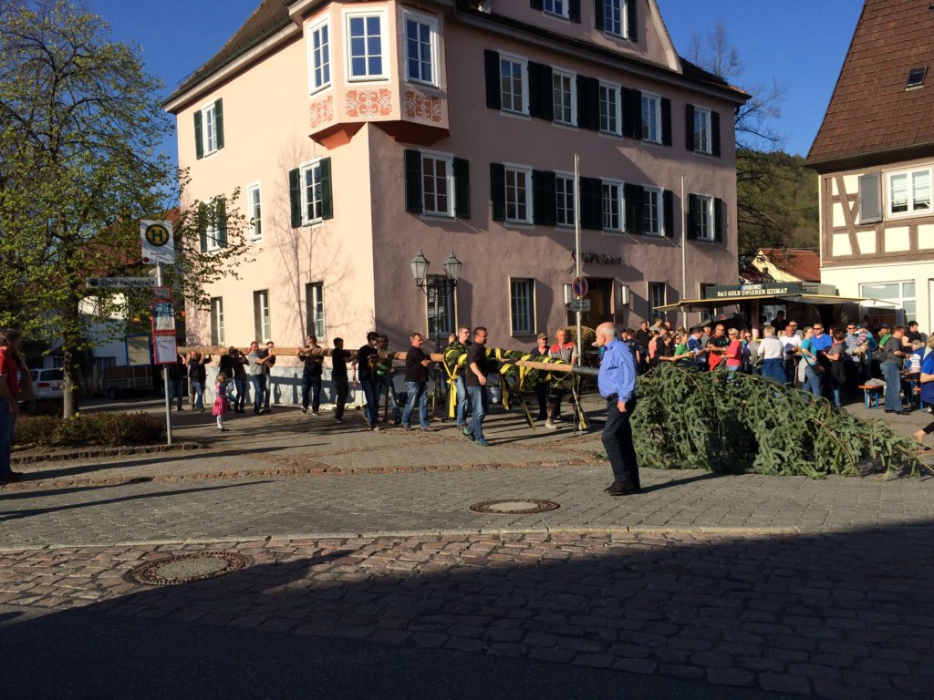 maibaum_201526.jpg