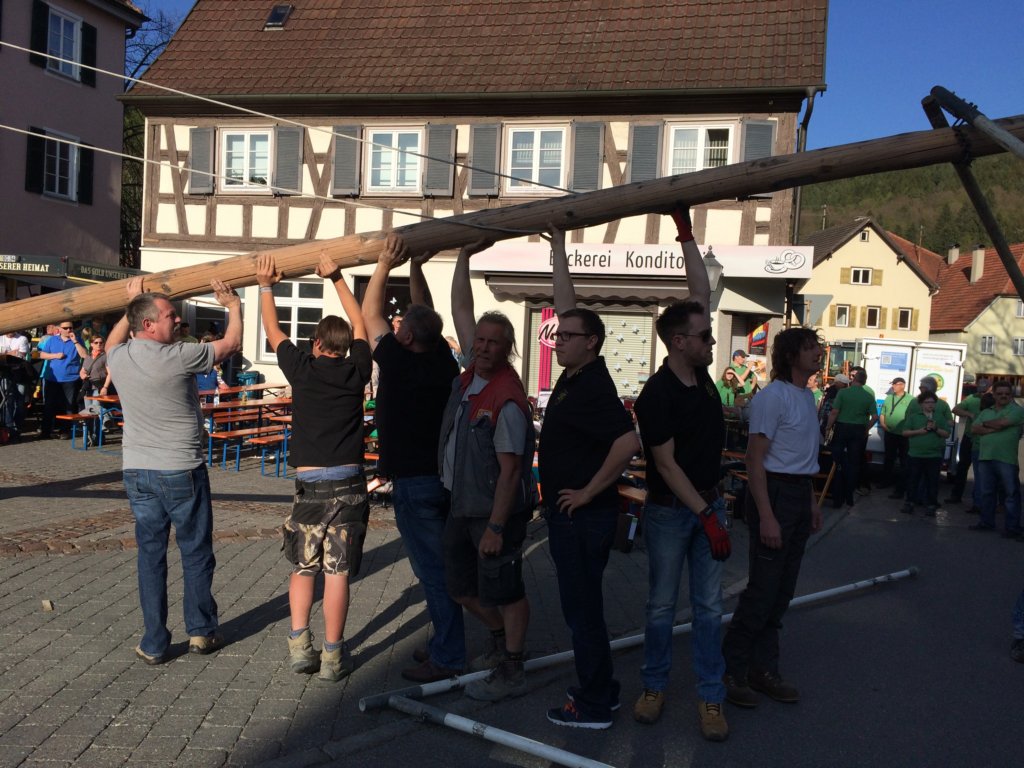 maibaum_201536.jpg