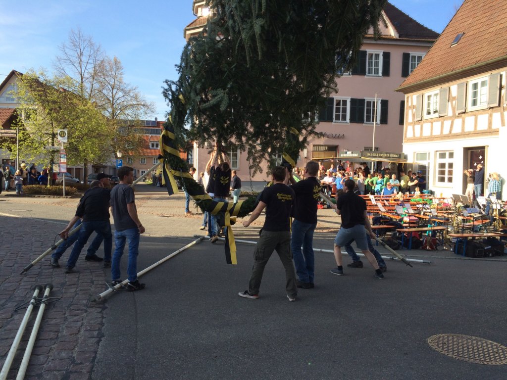 maibaum_201540.jpg
