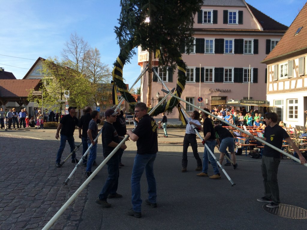 maibaum_201541.jpg