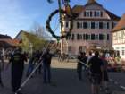 maibaum_201543_small.jpg