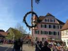 maibaum_201544_small.jpg