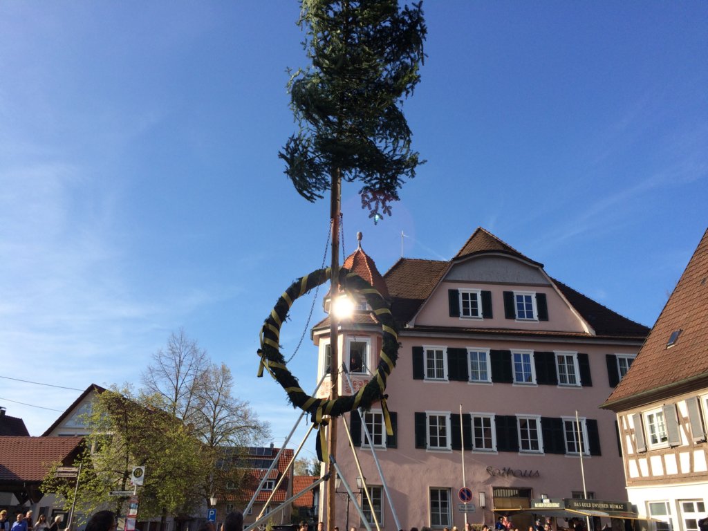 maibaum_201545.jpg