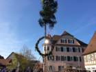 maibaum_201545_small.jpg