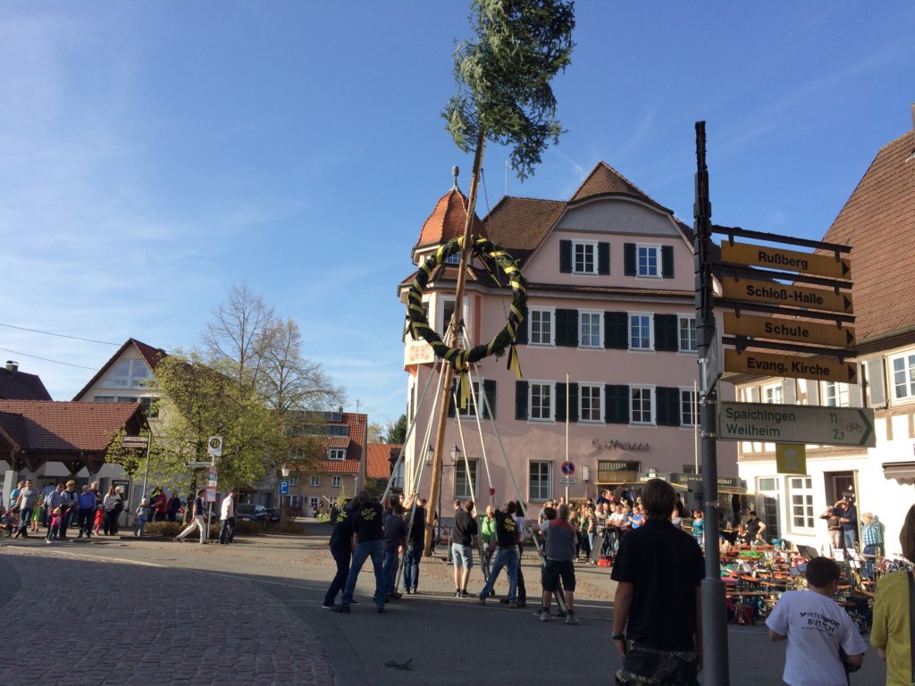 maibaum_201547.jpg