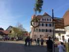 maibaum_201547_small.jpg