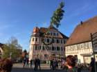 maibaum_201549_small.jpg
