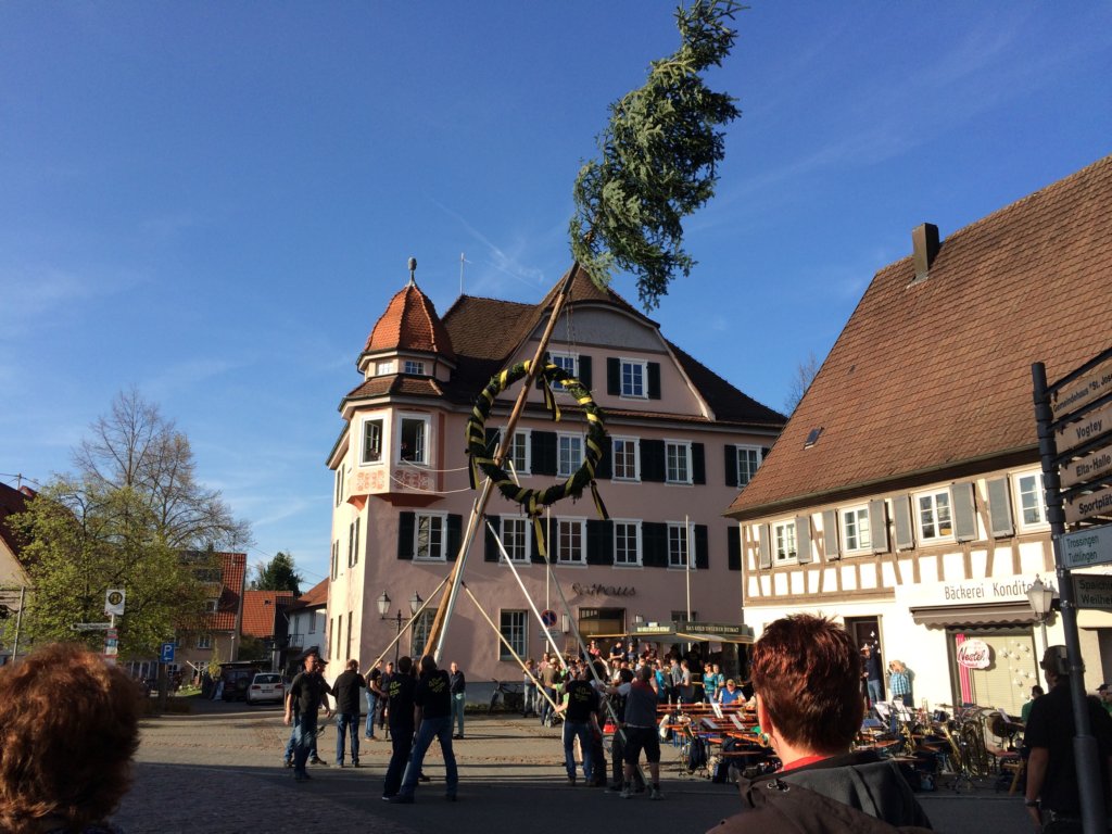 maibaum_201550.jpg