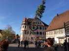 maibaum_201550_small.jpg
