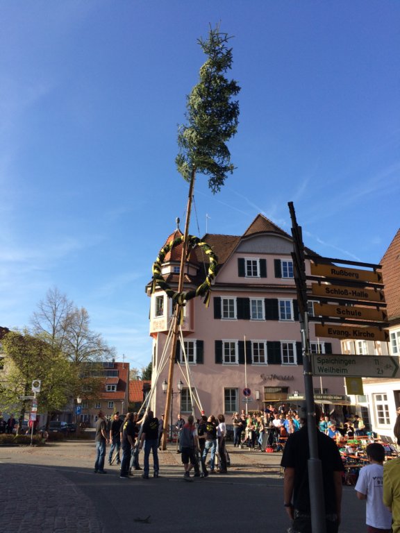 maibaum_201551.jpg