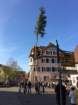 maibaum_201551_small.jpg