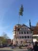 maibaum_201554_small.jpg