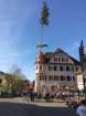 maibaum_201555_small.jpg