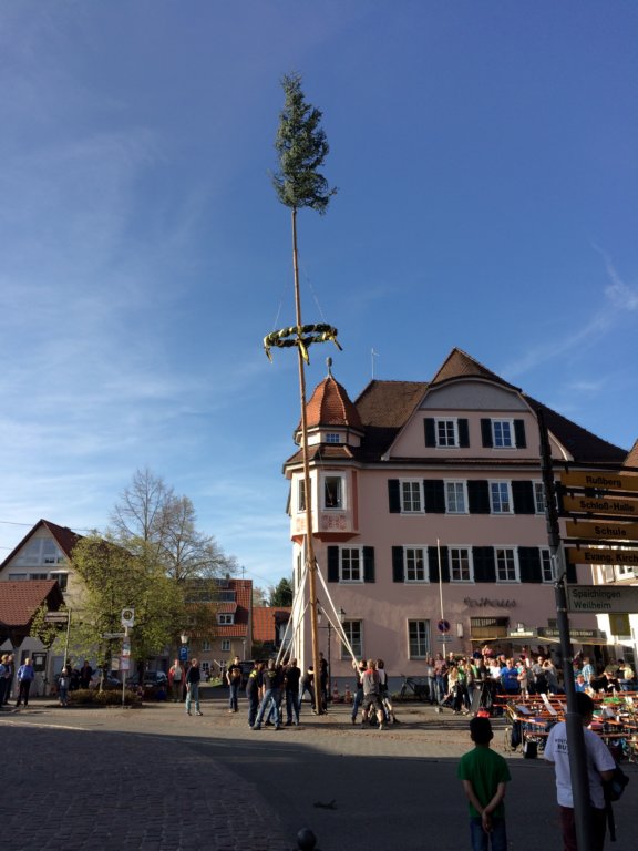 maibaum_201556.jpg