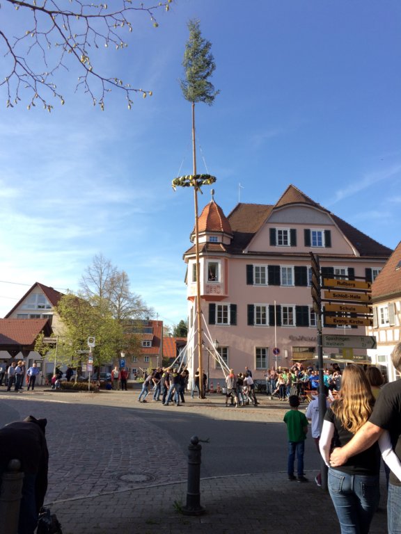 maibaum_201557.jpg