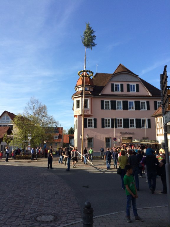 maibaum_201558.jpg