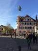 maibaum_201558_small.jpg