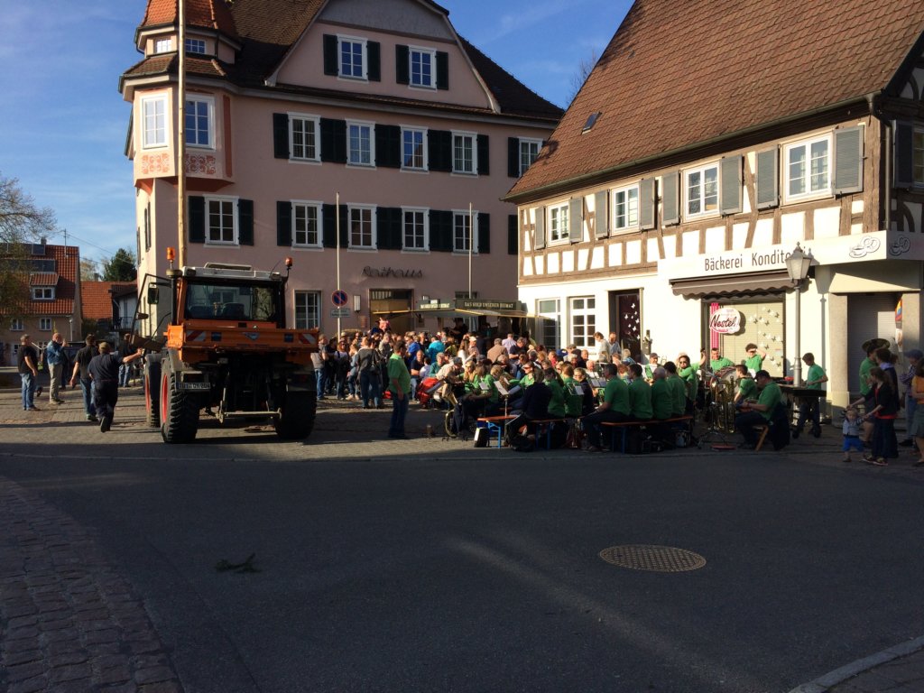 maibaum_201563.jpg