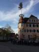 maibaum_201588_small.jpg