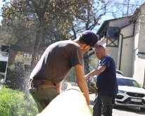 IMG_4550